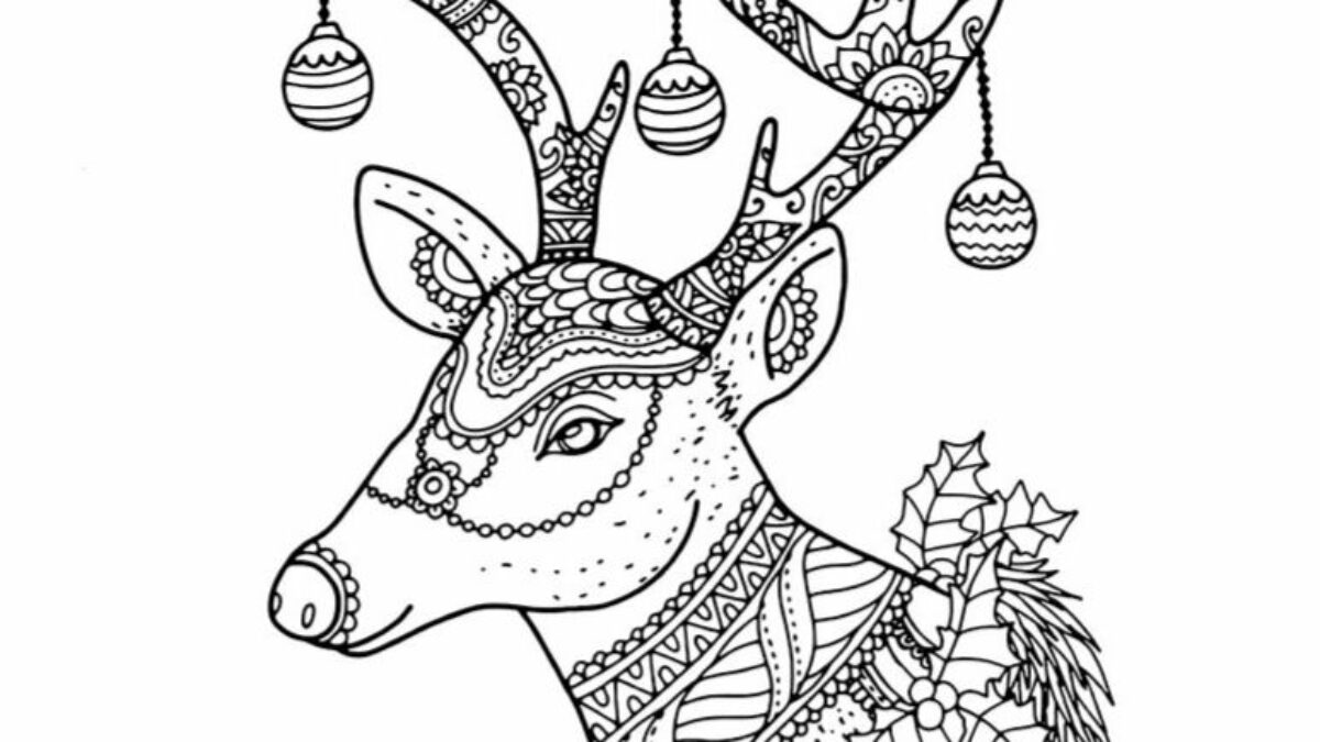 Printable reindeer coloring pages for kids add some color to that reindeer