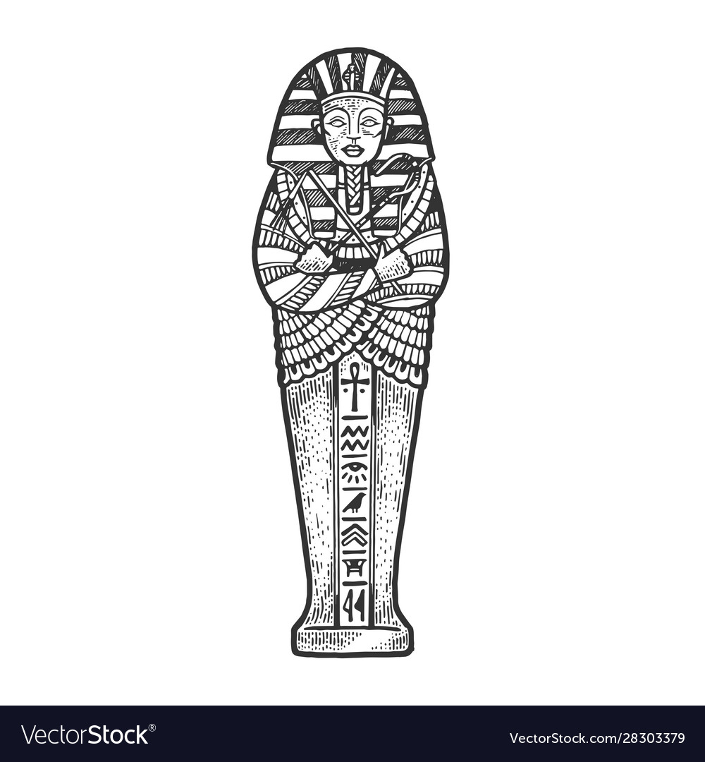 Ancient egyptian sarcophagus sketch royalty free vector