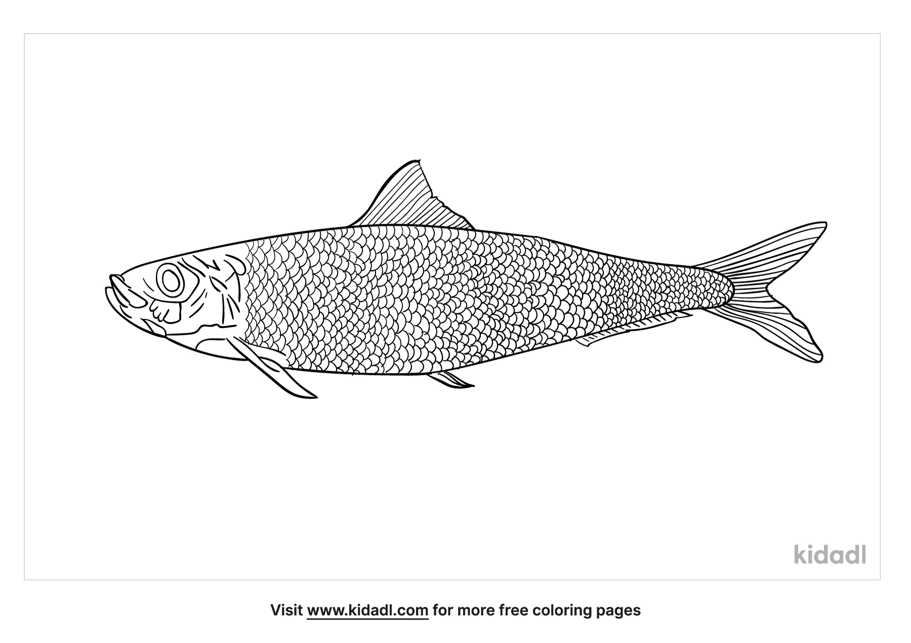 Free sardine coloring page coloring page printables