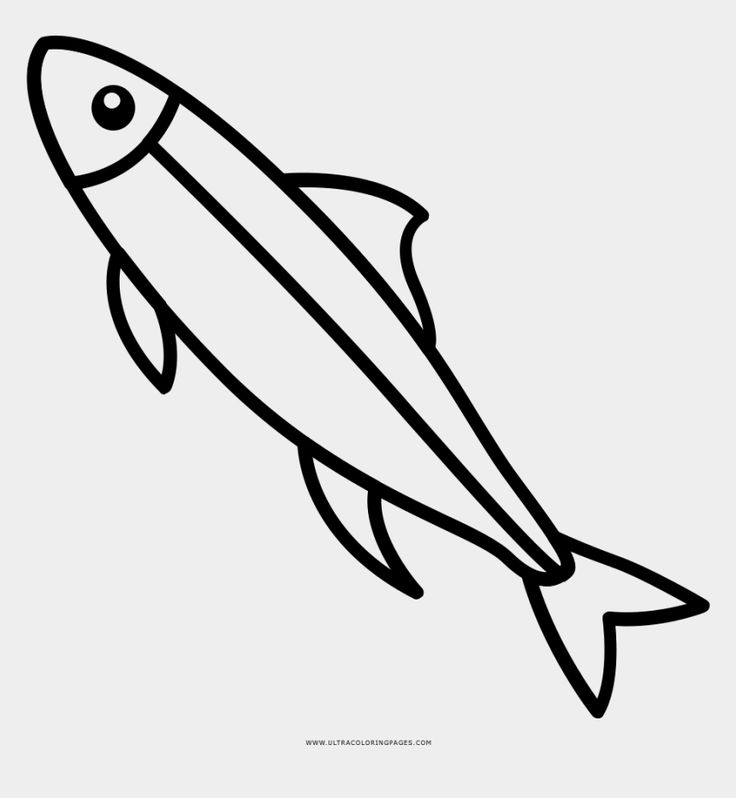 Fish bowl clipart black and white cartoons