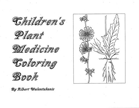 Plant medicine coloring book lenape nation of pa