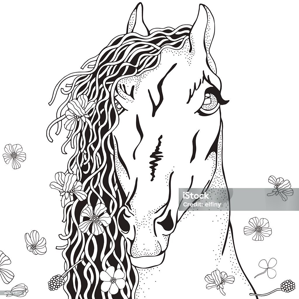 Coloring book page for adult and children funny horse stock illustration