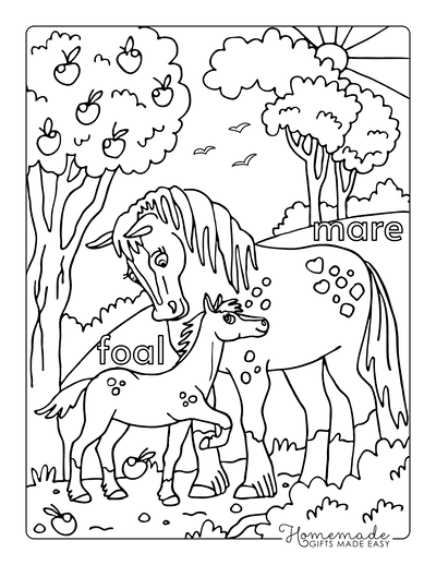 Best horse coloring pages for kids adults free printables