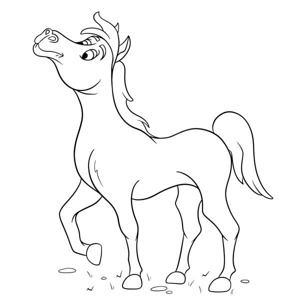 Animal character funny horse in line style coloring book stock illustration