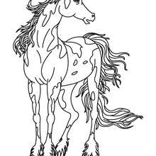 Funny horse coloring pages