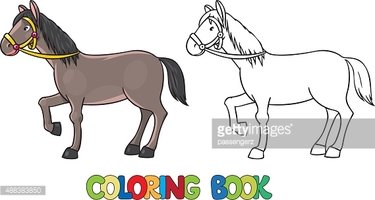 Funny horse coloring book stock clipart royalty