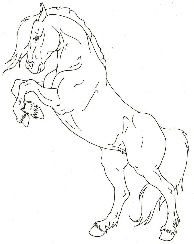 Free horse coloring page