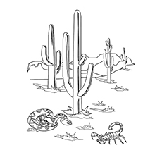 Top cactus coloring pages for toddlers