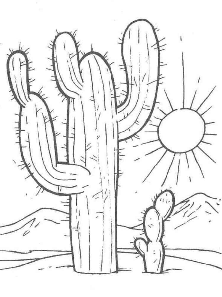 Painting of a desert landscape and a cactus coloring page