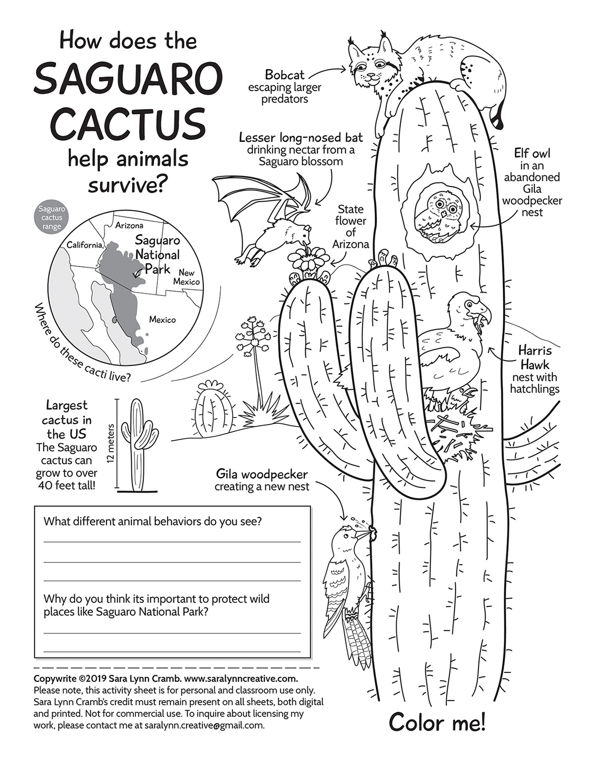 Nature coloring pages