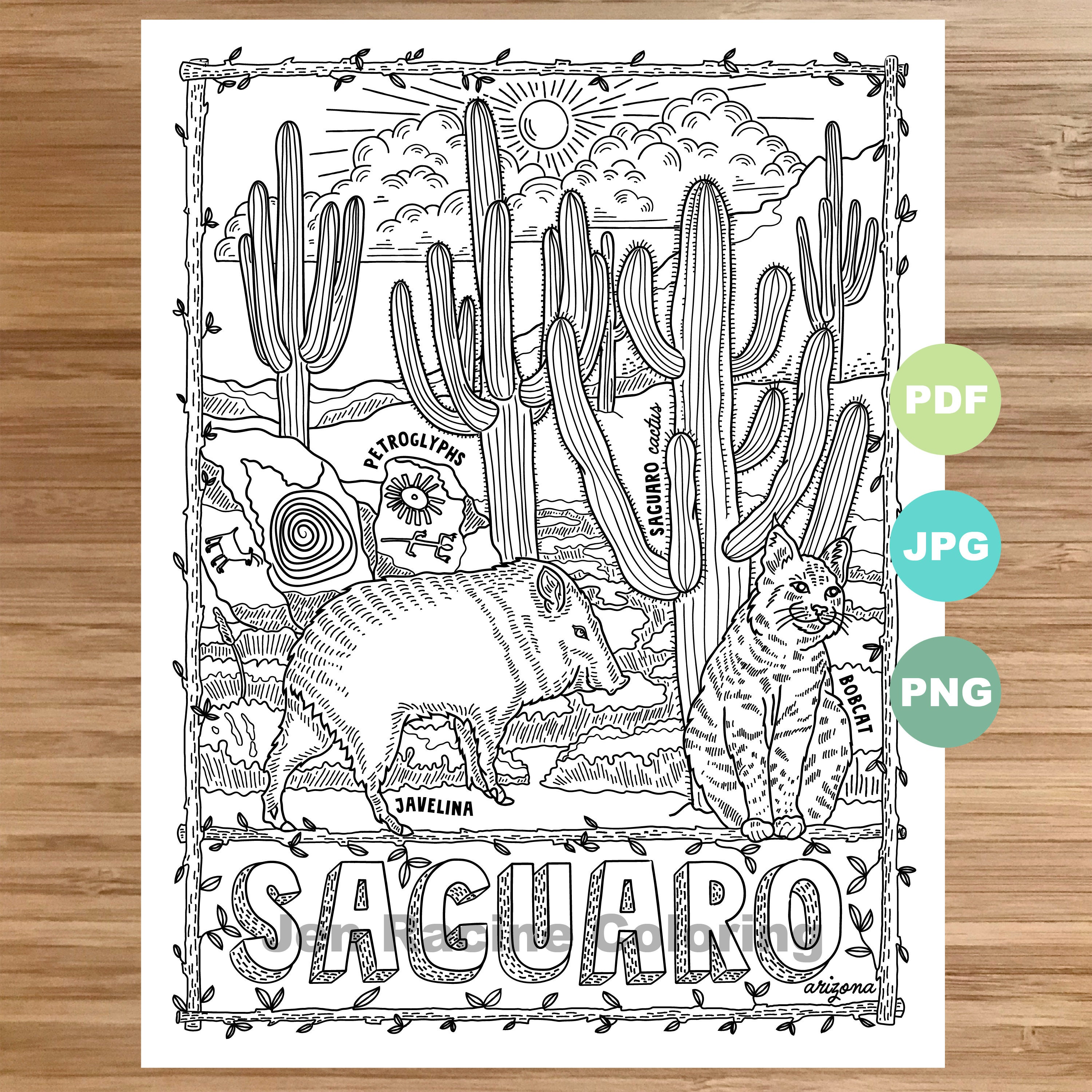 National park coloring page saguaro arizona national park landscape animal plant wildflower coloring page printable