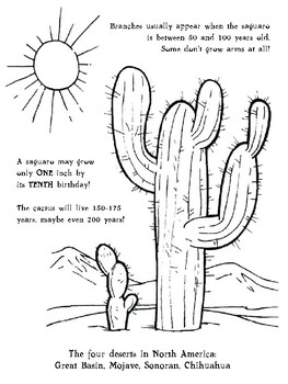 Saguaro cactus coloring sheet by la paloma tpt