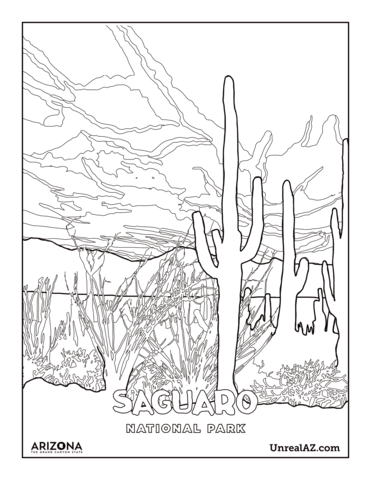 Saguaro national park coloring page free printable coloring pages