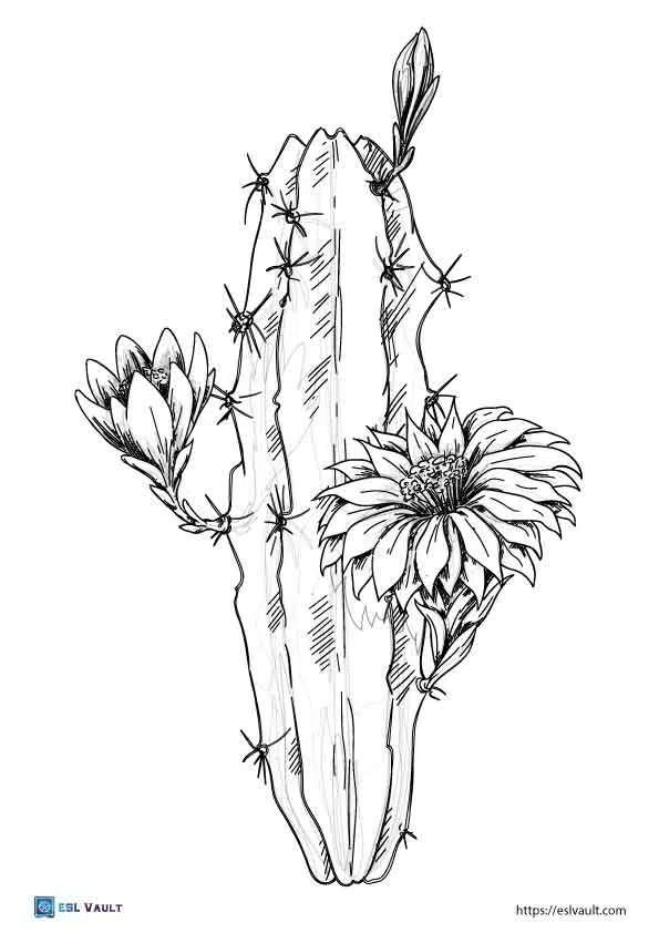 Free cactus coloring pages