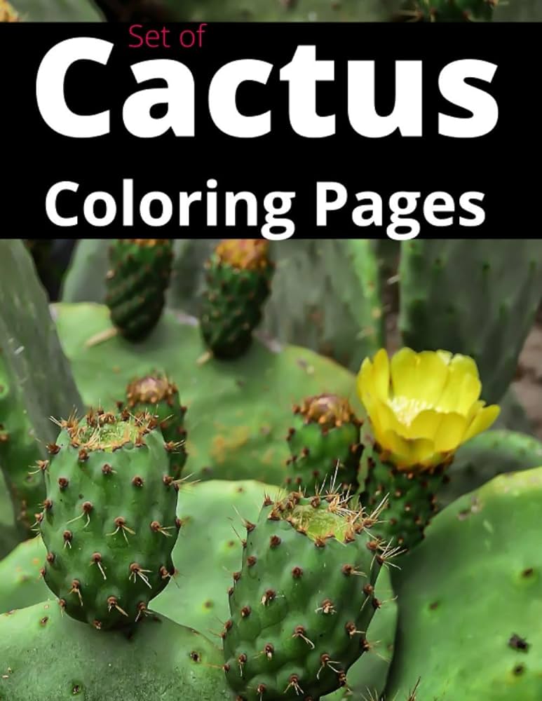 Set of cactus coloring pages x inches adult coloring books succulents picture of a saguaro cactus coo boo books