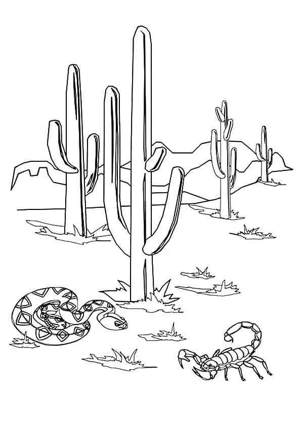 Snake and scorpion with cactus coloring page