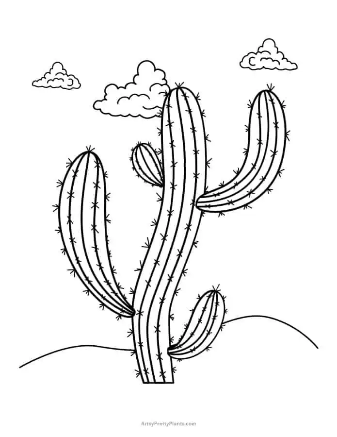 Free cactus coloring pages printable pdfs