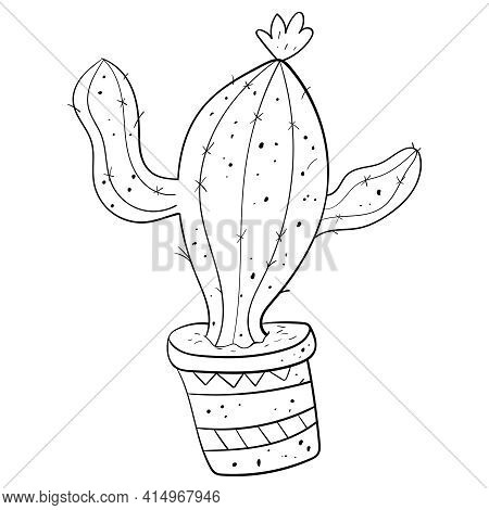 Hand drawn saguaro vector photo free trial bigstock