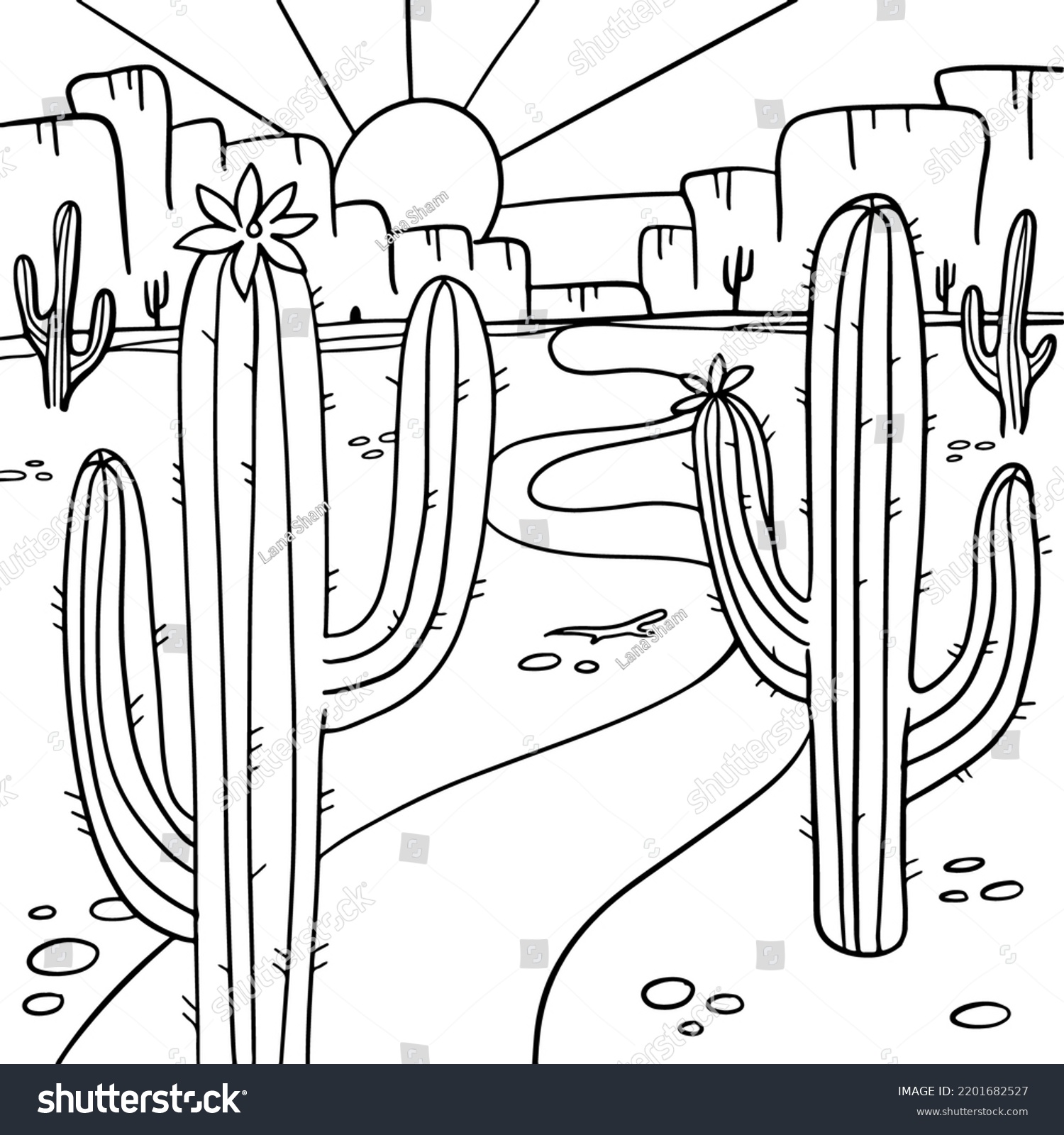 Coloring page blooming cactus arizona desert stock vector royalty free