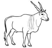 Eland coloring pages free coloring pages