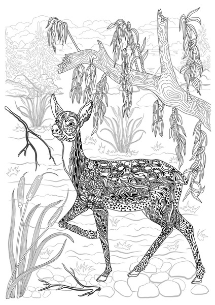 Antelope coloring book images stock photos d objects vectors