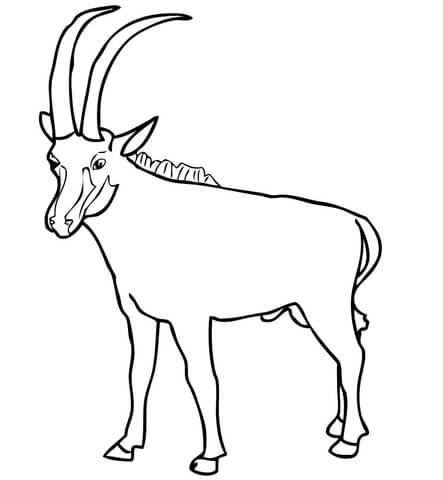 Sable antelope coloring page free printable coloring pages