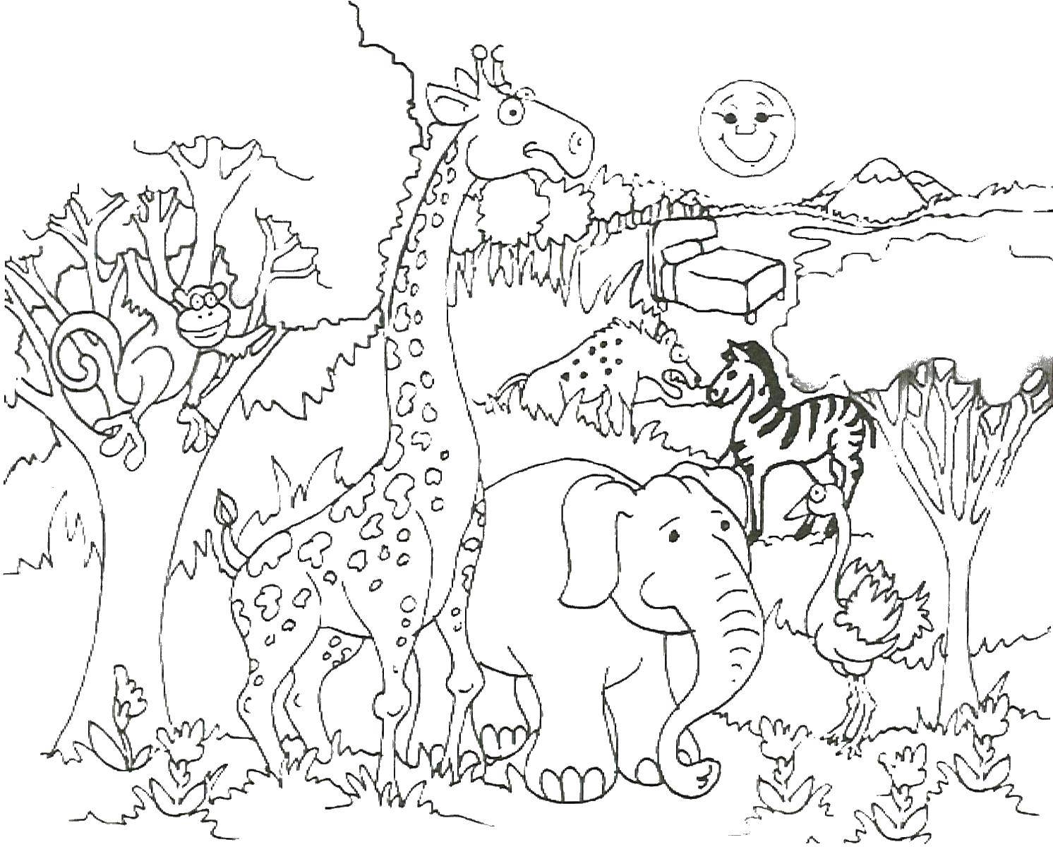 Online coloring pages coloring ððððððð ñðñðºñðñðºð download print coloring page