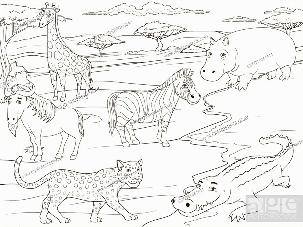 Coloring book educational game for children african savannah animals vector illustration stock vector vector and low budget royalty free image pic esy