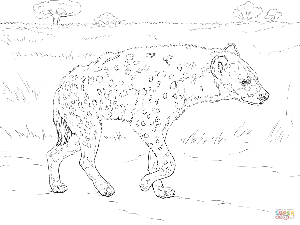 Spotted hyena walking in the savannah coloring page free printable coloring pages