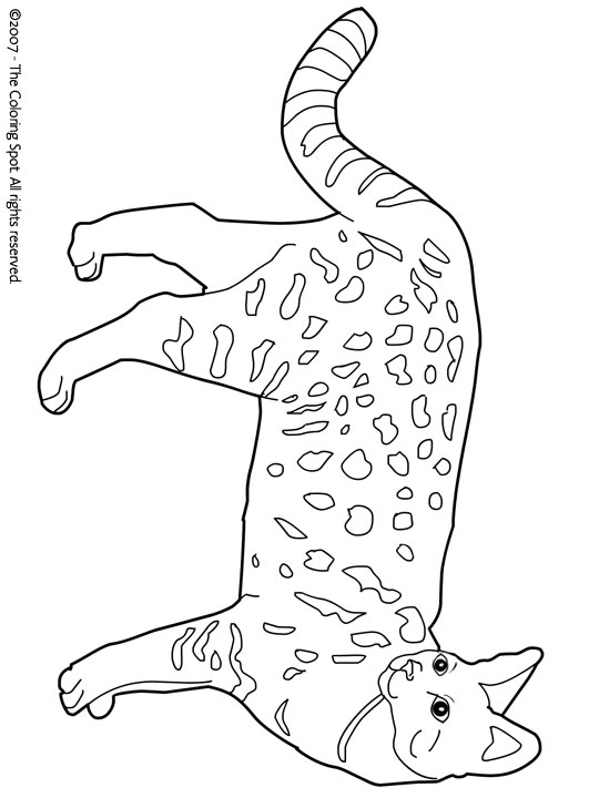 Savannah coloring page audio stories for kids free coloring pages colouring printables