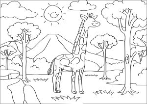 Giraffes