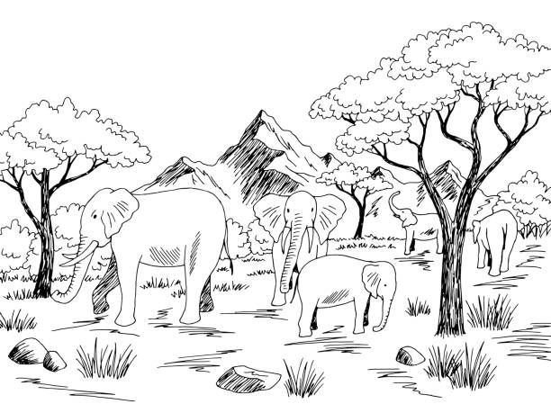 Elephant in savannah graphic black white landscape sketch illustration vector stock illustration