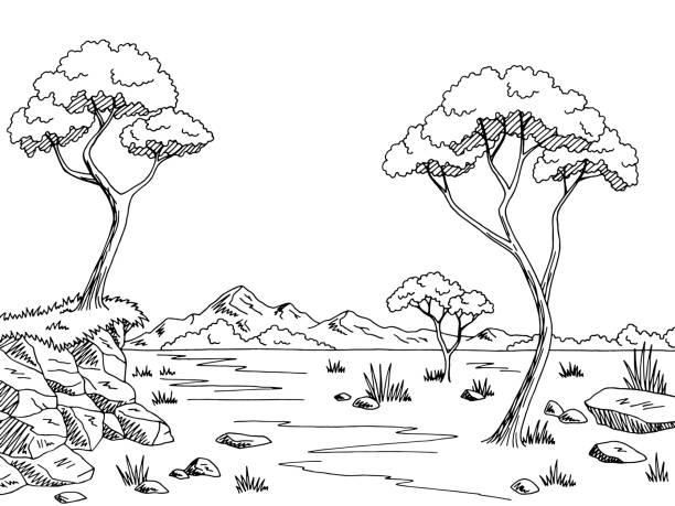 Savannah graphic black white landscape sketch illustration vector stock illustration