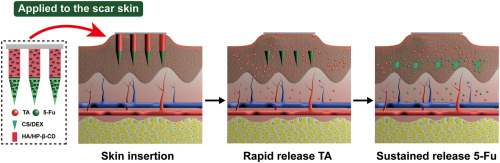 Bilayer dissolving microneedle array containing