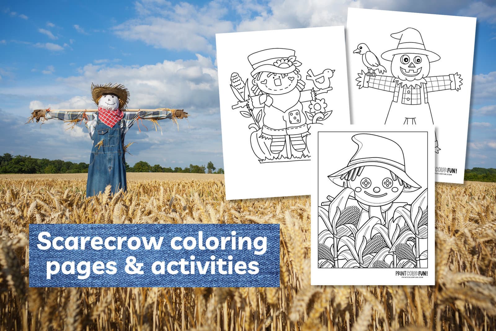 Scarecrow coloring pages crafts learning activities to unlock fall family fun at