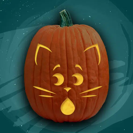 Scaredy cat â free pumpkin carving patterns