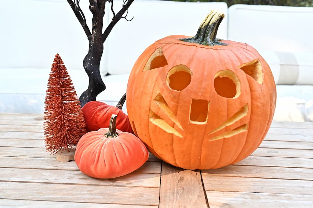 Cat pumpkin carving ideas to try at home