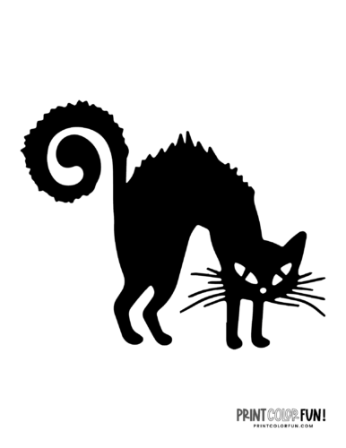 Black cat pumpkin carving stencils cats for halloween at