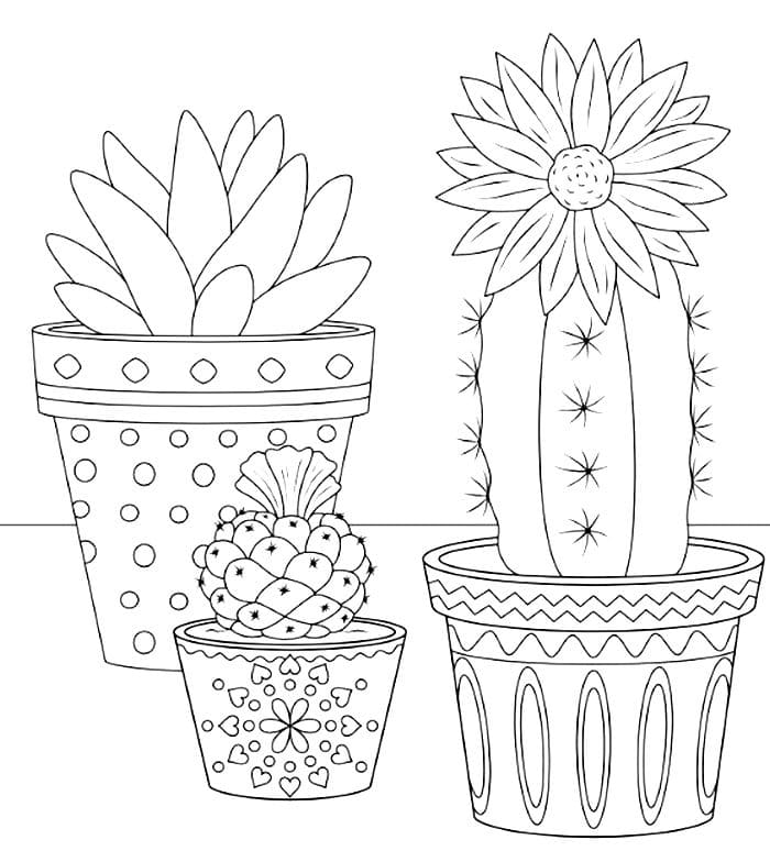 Cactus coloring pages