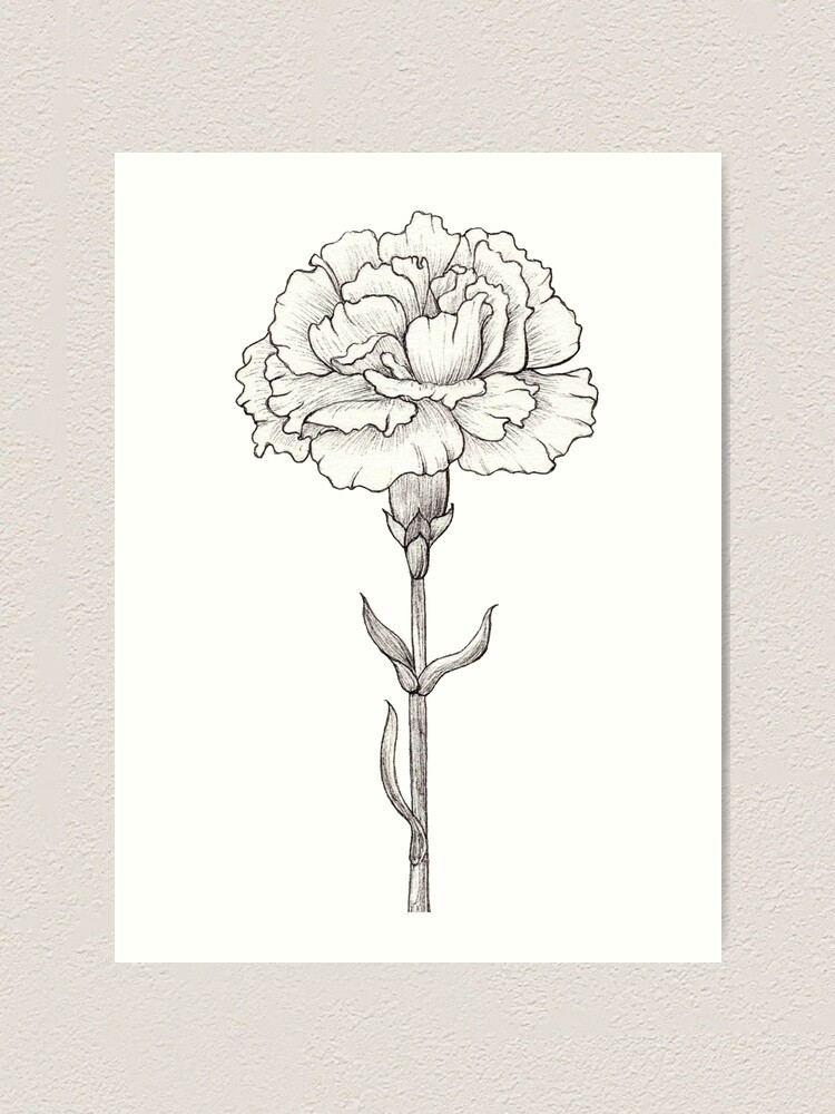 Carnation flower done in ink art print for sale by andramarie