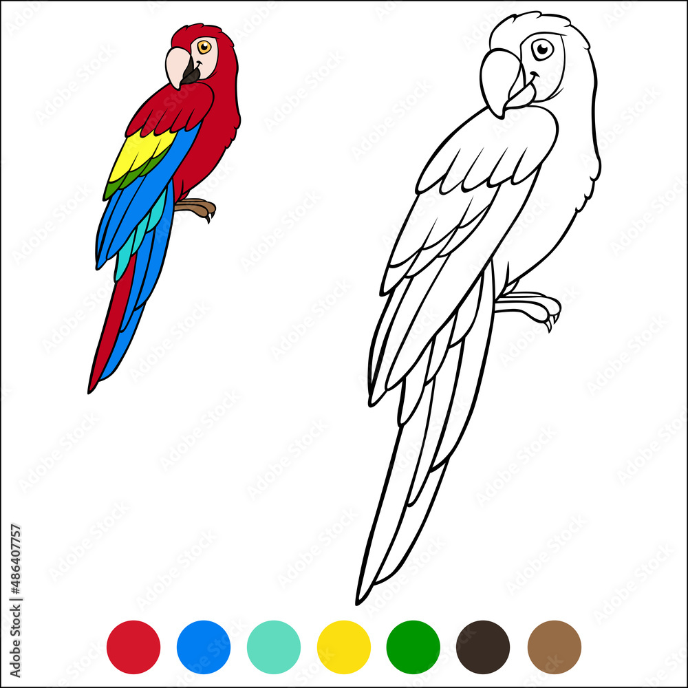 Coloring page birds cute parrot red macaw sits and smiles vector