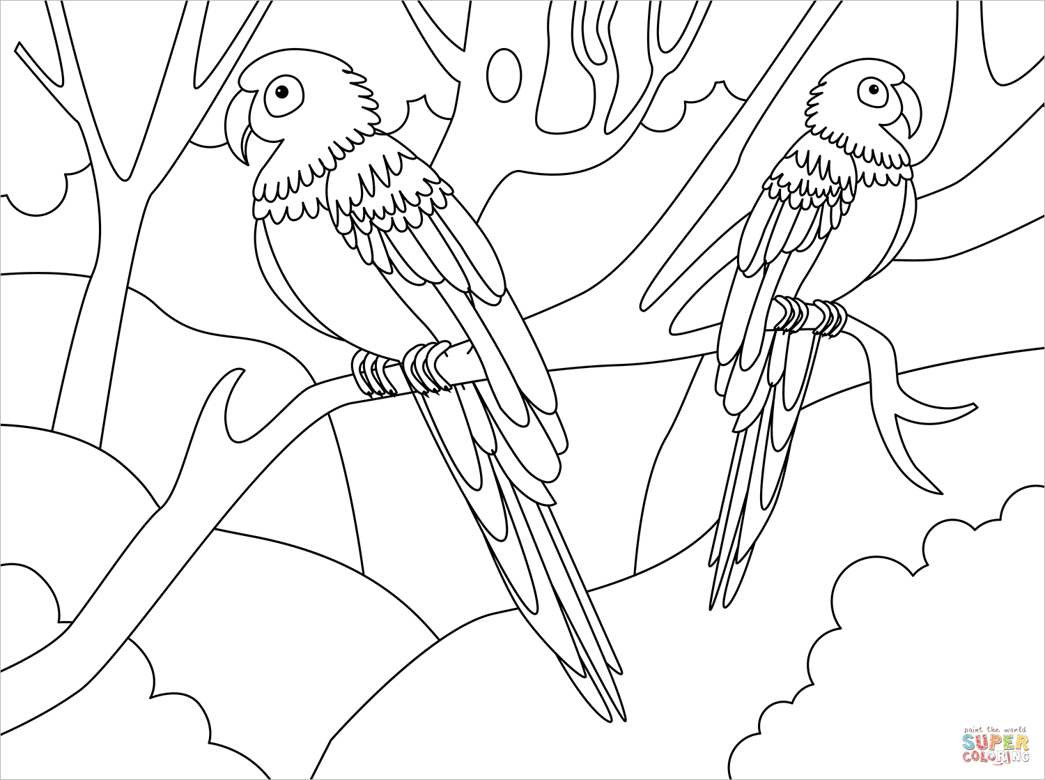 Macaw coloring page free printable coloring pages