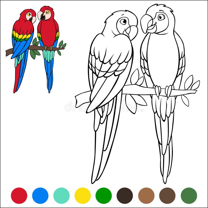 Coloring page birds a pair of cute parrots red macaw sits and smiles stock vector