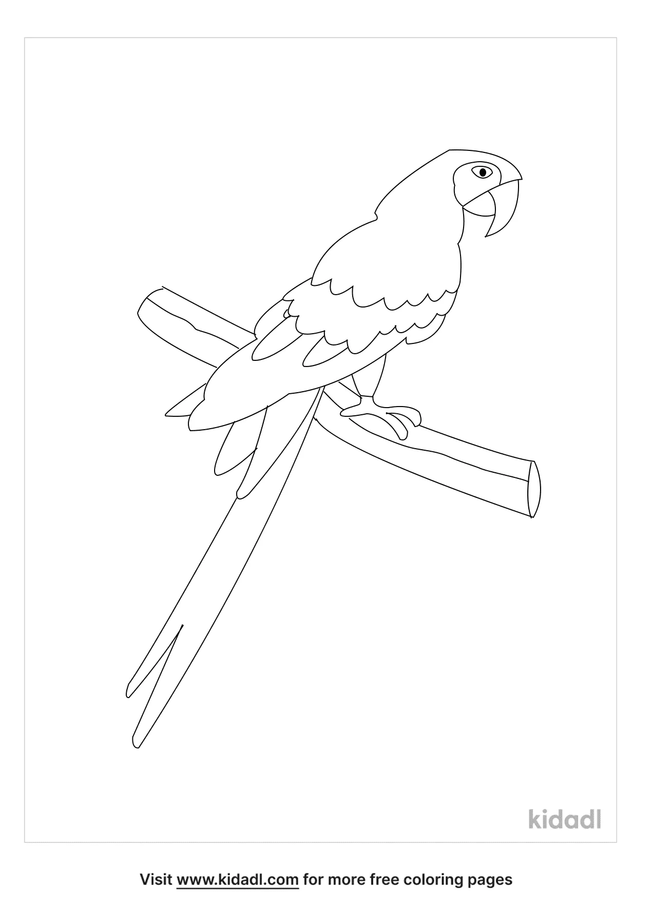 Free scarlet macaw coloring page coloring page printables