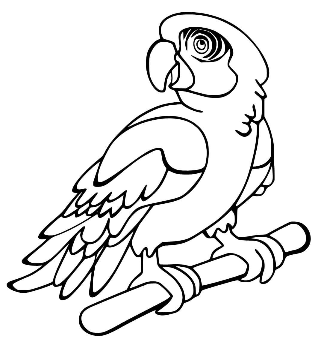 Macaw free coloring page