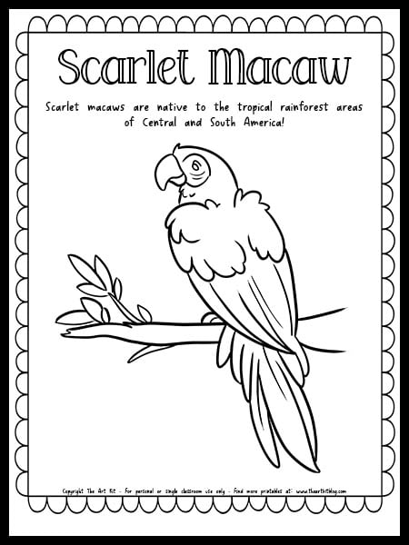 Scarlet macaw coloring page with fun fact free printable download â the art kit