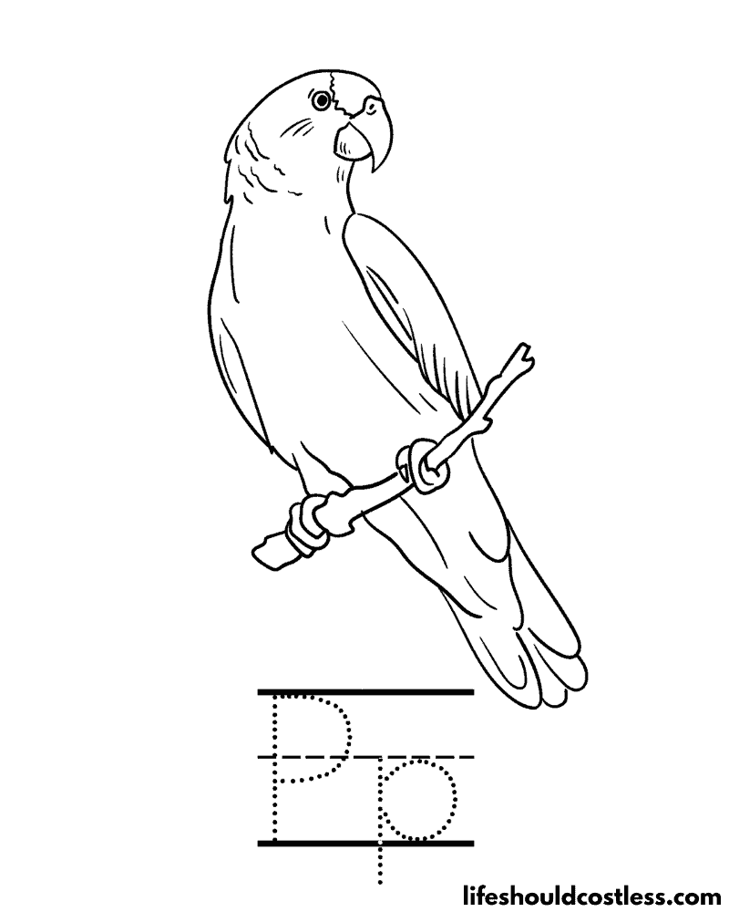 Parrot coloring pages free printable pdf templates