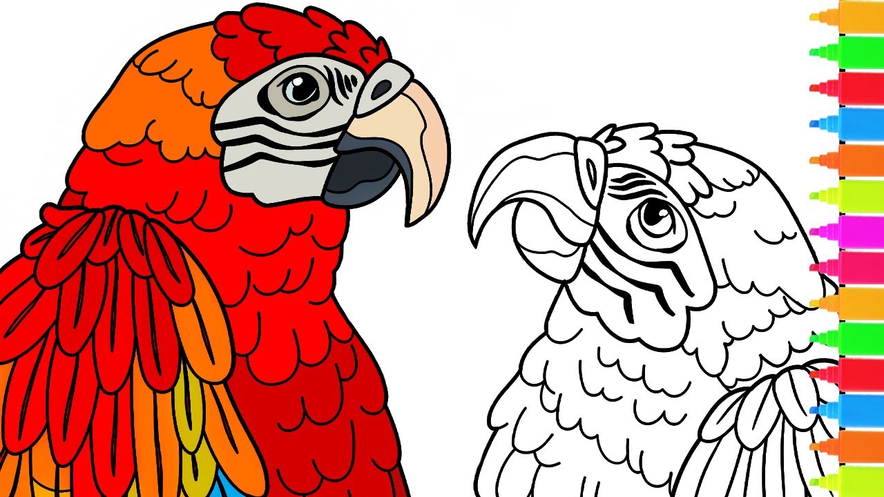 Coloring parrots in love new mirror for a peacock hummingbird heaven birds coloring pages