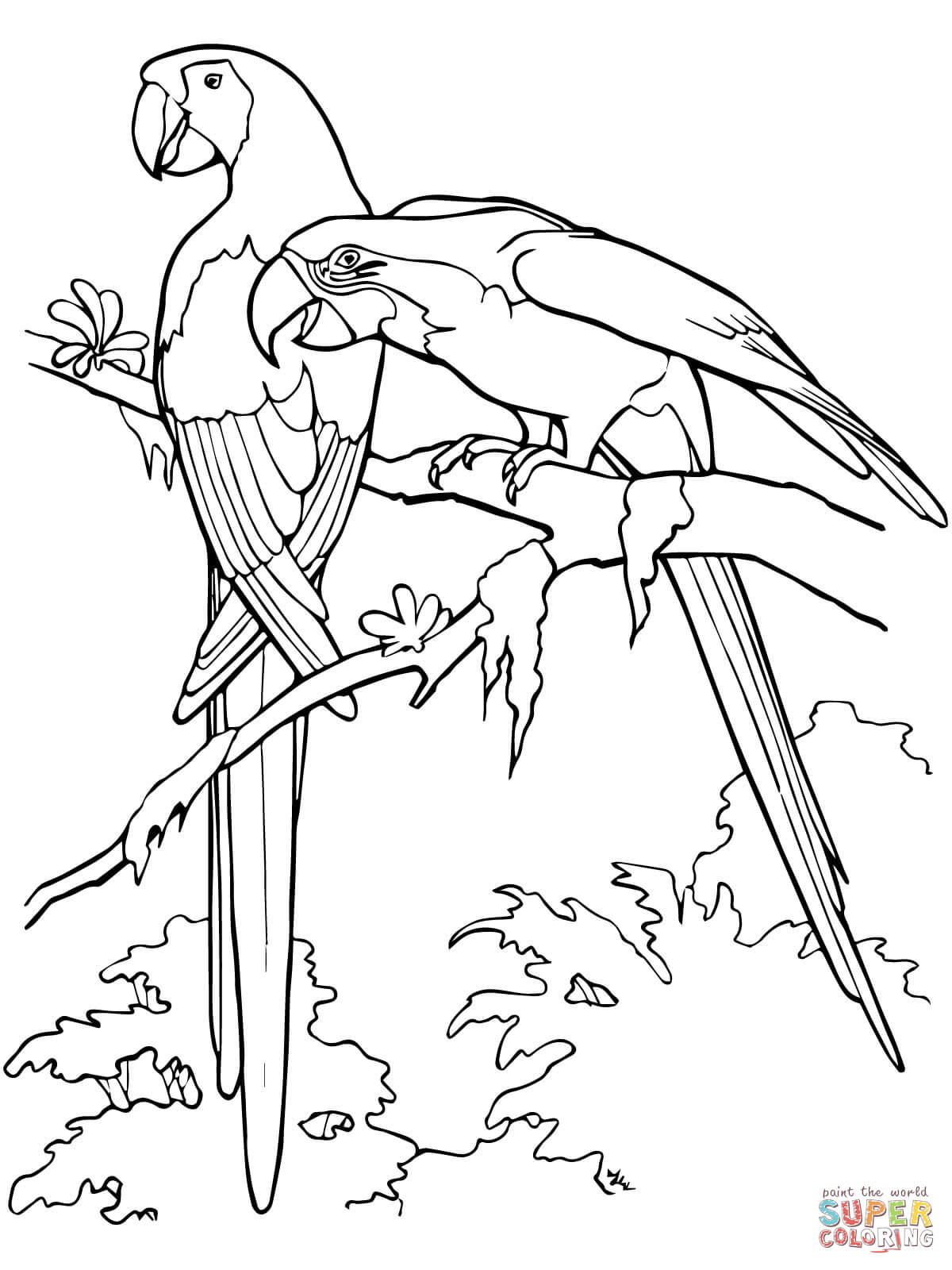 Scarlet macaws coloring page free printable coloring pages