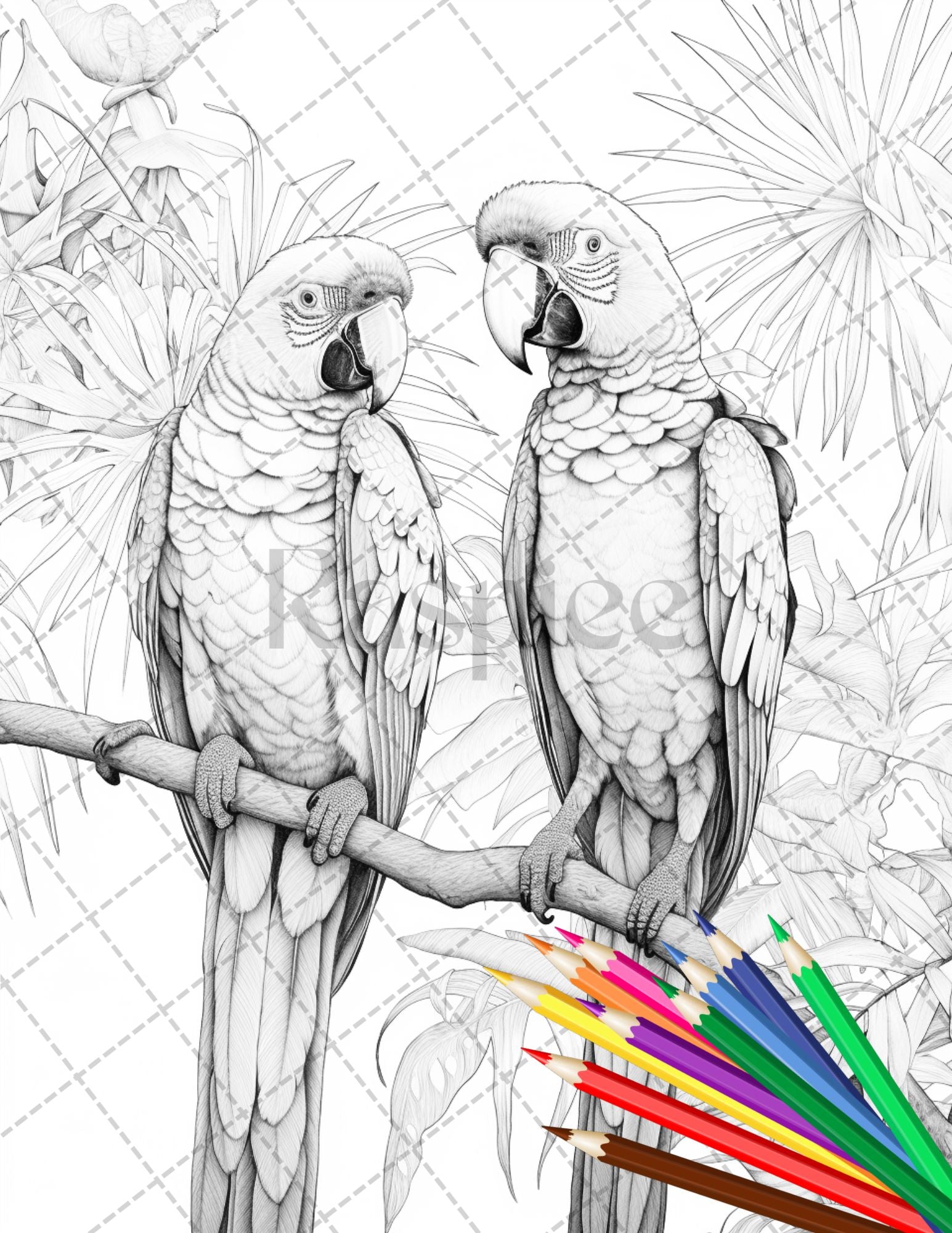 Tropical birds coloring book for adults grayscale coloring page p â coloring